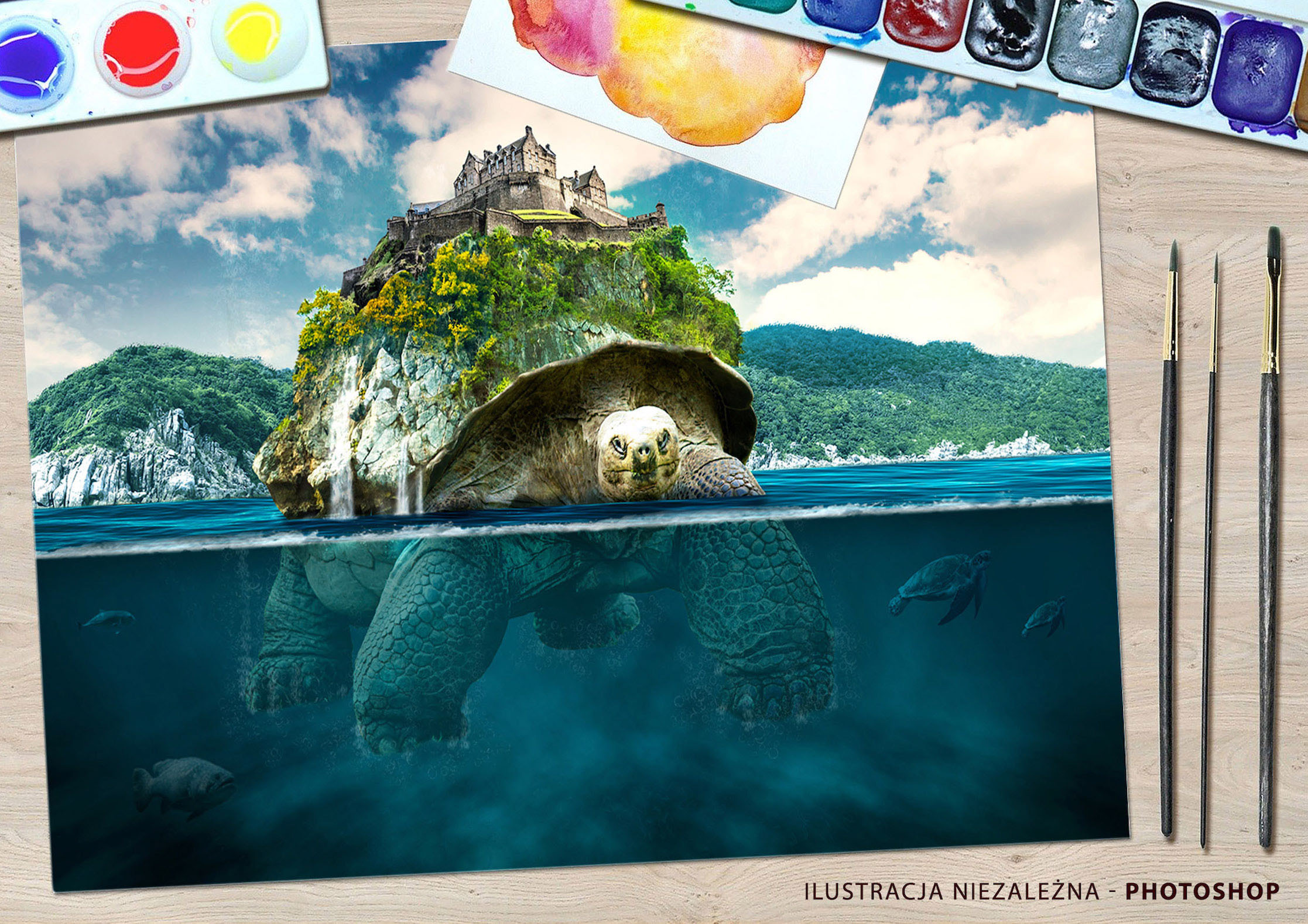Turtle island sea illustration